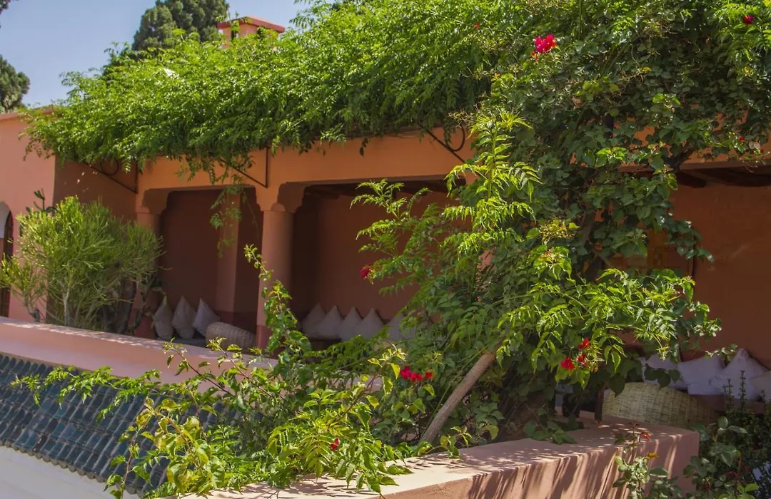 Riad Majala-1