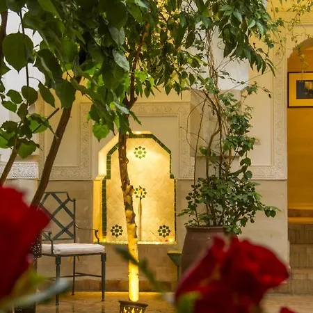 Riad Majala-2