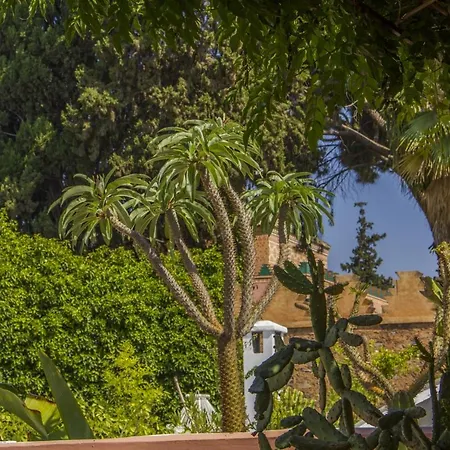 Riad Majala-3
